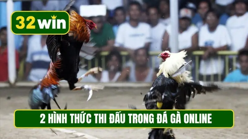 2 hình thức thi đấu trong đá gà online